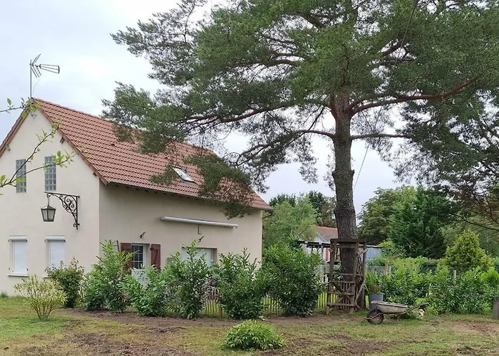Proche Chateaux Et Zoo De Beauval: Gite De Sologne