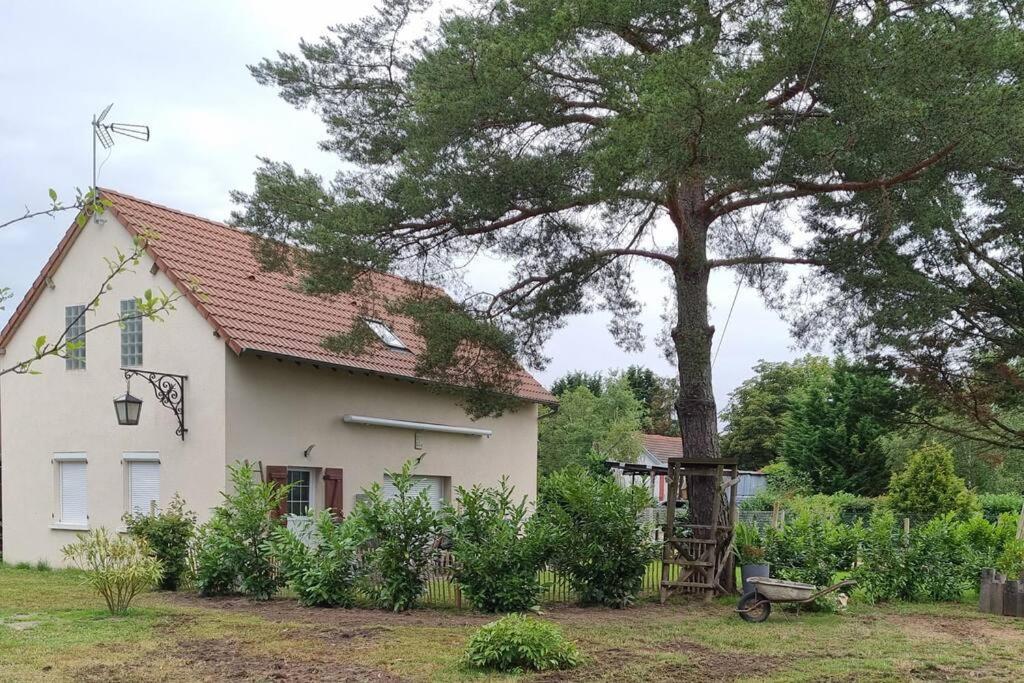Proche Chateaux Et Zoo De Beauval: De Sologne